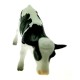 Cattle Rind schwarz-weiß stehend 1:32